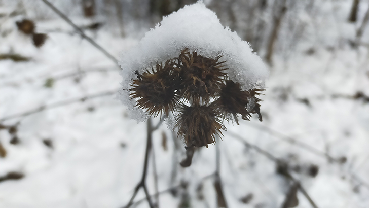 Фото В.Кузьмин (осень, 2025)