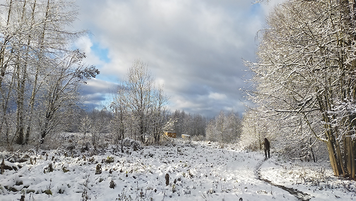 Фото В.Кузьмин (осень, 2025)
