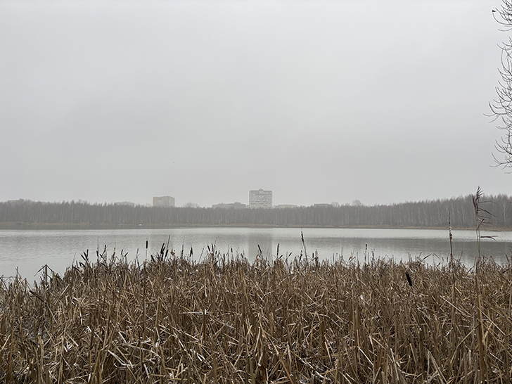 Косино-Ухтомский — район в Восточном административном округе Москвы (фото Олег Д., осень, 2025)