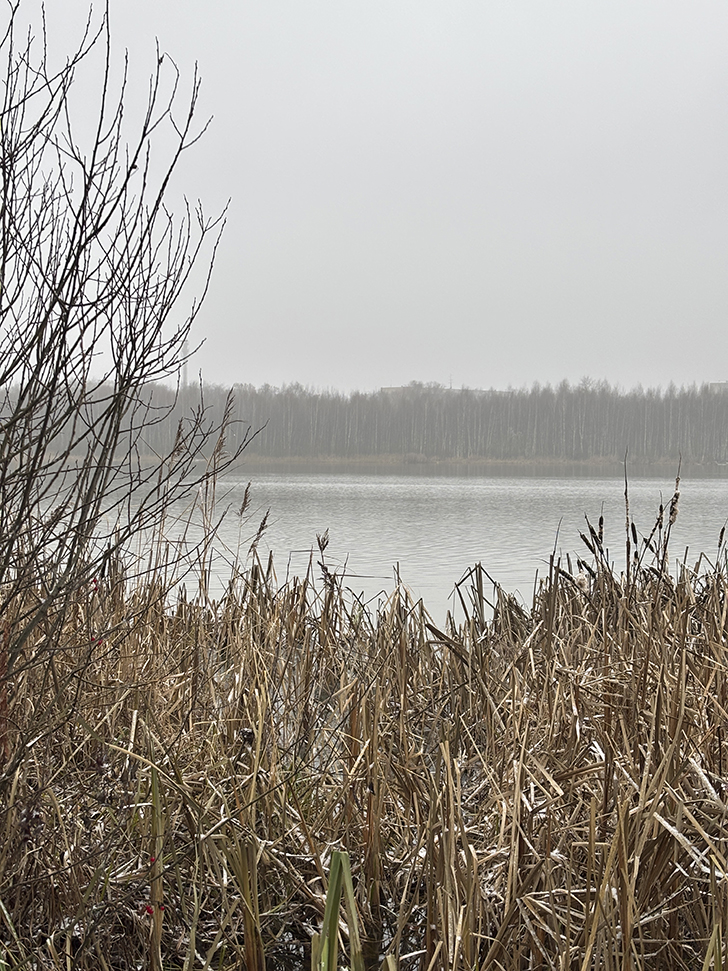 Косино-Ухтомский — район в Восточном административном округе Москвы (фото Олег Д., осень, 2025)