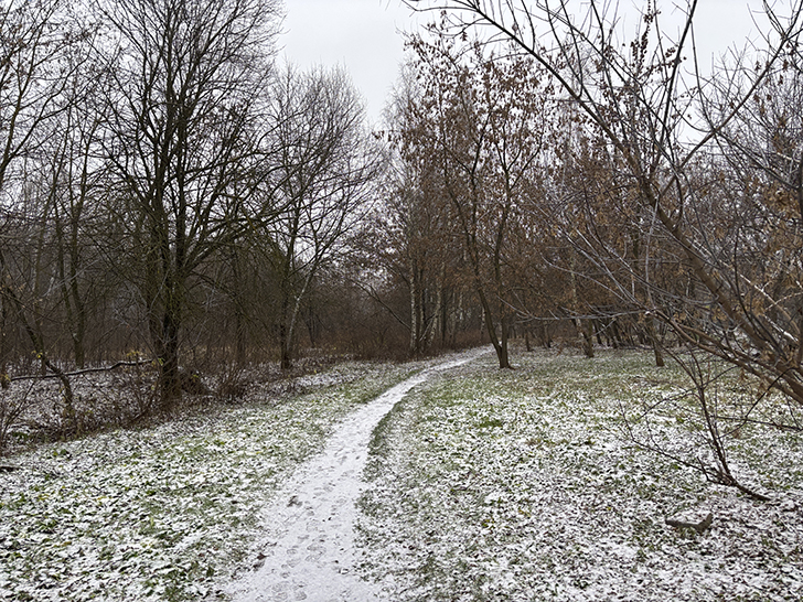 Косино-Ухтомский — район в Восточном административном округе Москвы (фото Олег Д., осень, 2025)