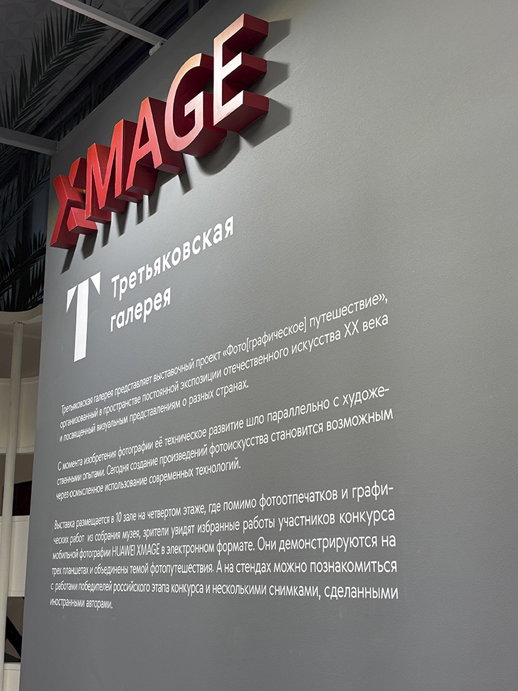 Третьяковская галерея на Крымском валу (фото Олег Д., декабрь, 2025)