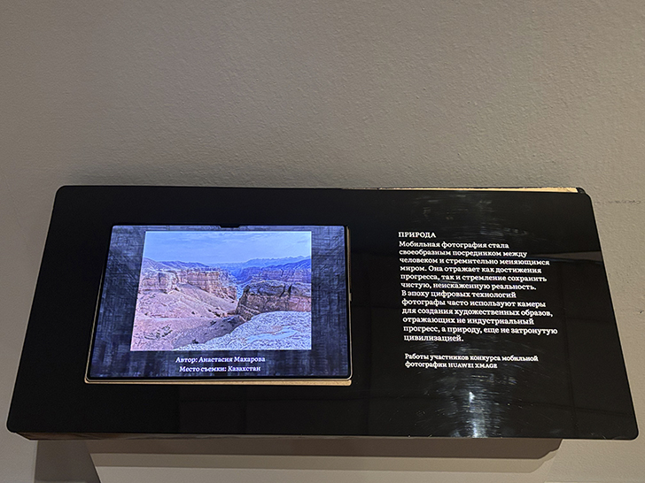 Третьяковская галерея на Крымском валу (фото Олег Д., декабрь, 2025)