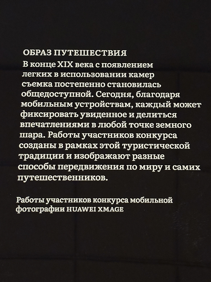 Третьяковская галерея на Крымском валу (фото Олег Д., декабрь, 2025)