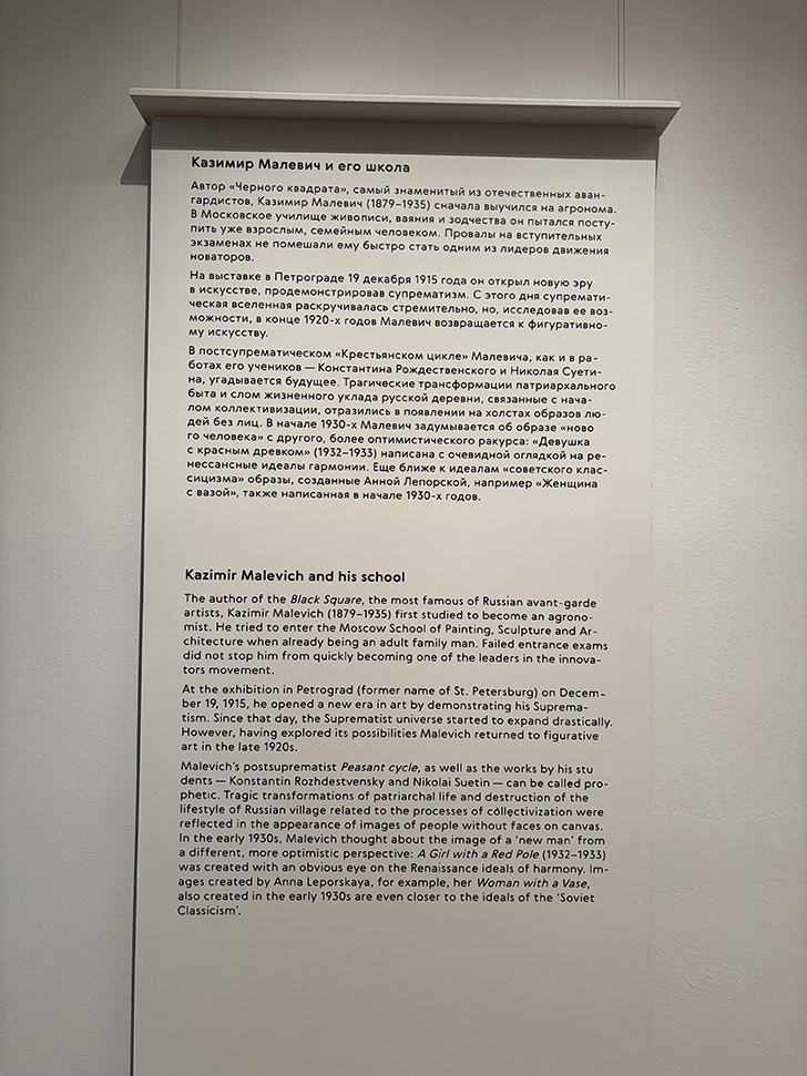 Третьяковская галерея на Крымском валу (фото Олег Д., декабрь, 2025)