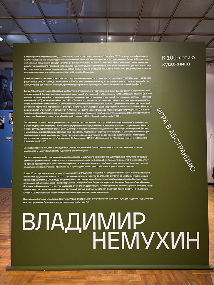 Третьяковская галерея на Крымском валу (фото Олег Д., декабрь, 2025)