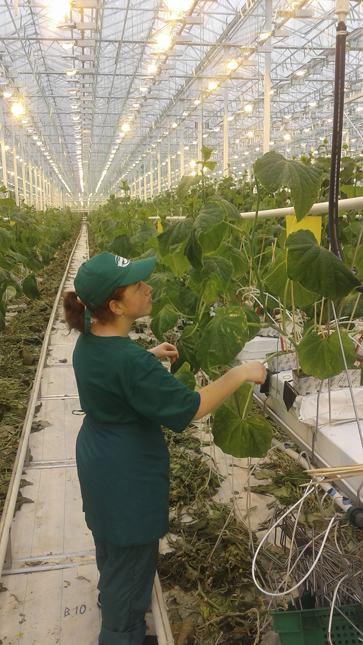 Лариса Завьялова