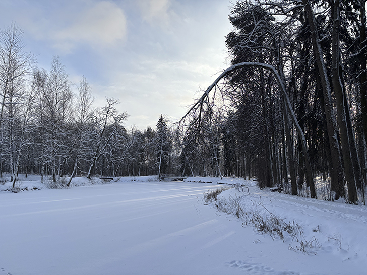 Зимняя прогулка по Майданово в Клину (фото Олег Д., январь, 2026)