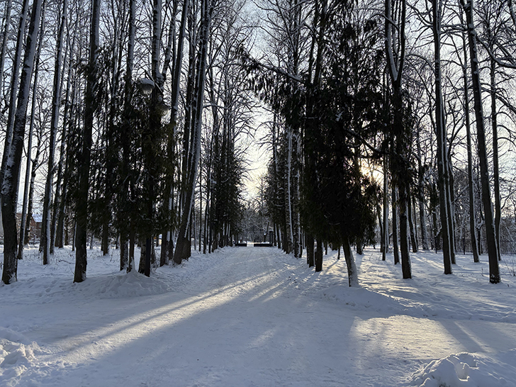 Зимняя прогулка по Майданово в Клину (фото Олег Д., январь, 2026)