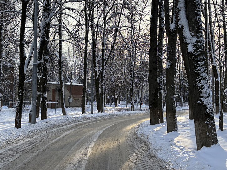 Зимняя прогулка по Майданово в Клину (фото Олег Д., январь, 2026)