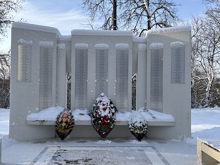 Зимняя прогулка по Майданово в Клину (фото Олег Д., январь, 2026)