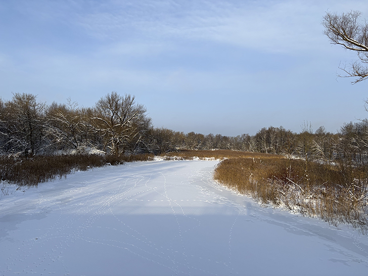 Зимняя прогулка по Майданово в Клину (фото Олег Д., январь, 2026)