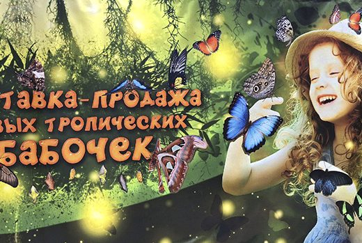 Зимнее лето в Питере и встреча с живыми цветами (фото Ольга Полупан, 2025)