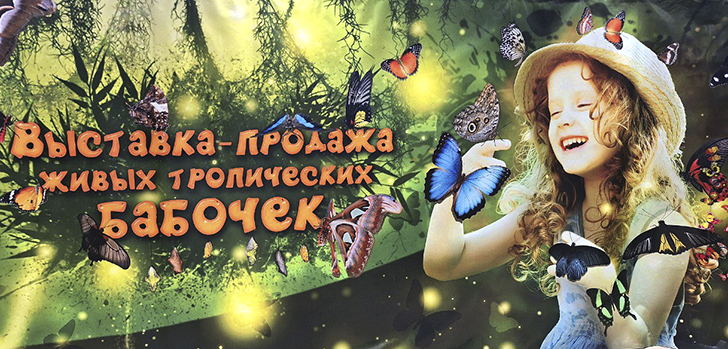 Зимнее лето в Питере и встреча с живыми цветами (фото Ольга Полупан, 2025)