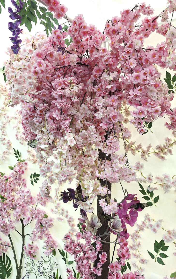 Зимнее лето в Питере и встреча с живыми цветами (фото Ольга Полупан, 2025)