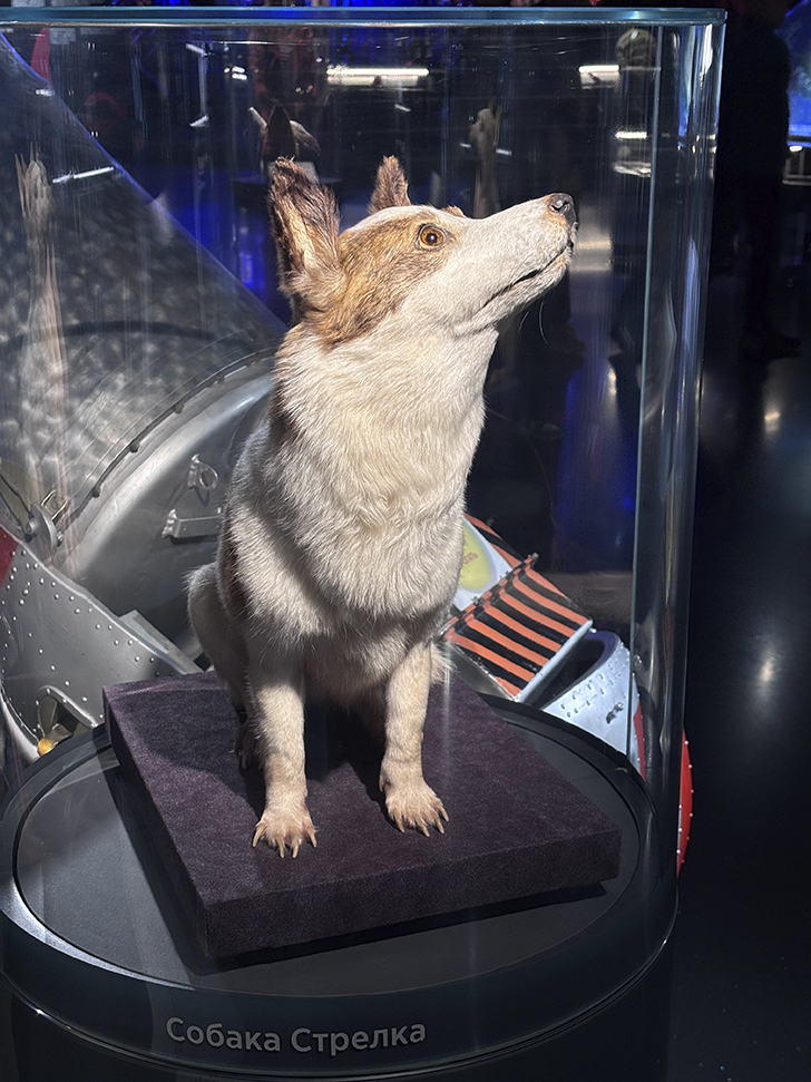 Музей космонавтики (фото Олег Д., февраль, 2026)