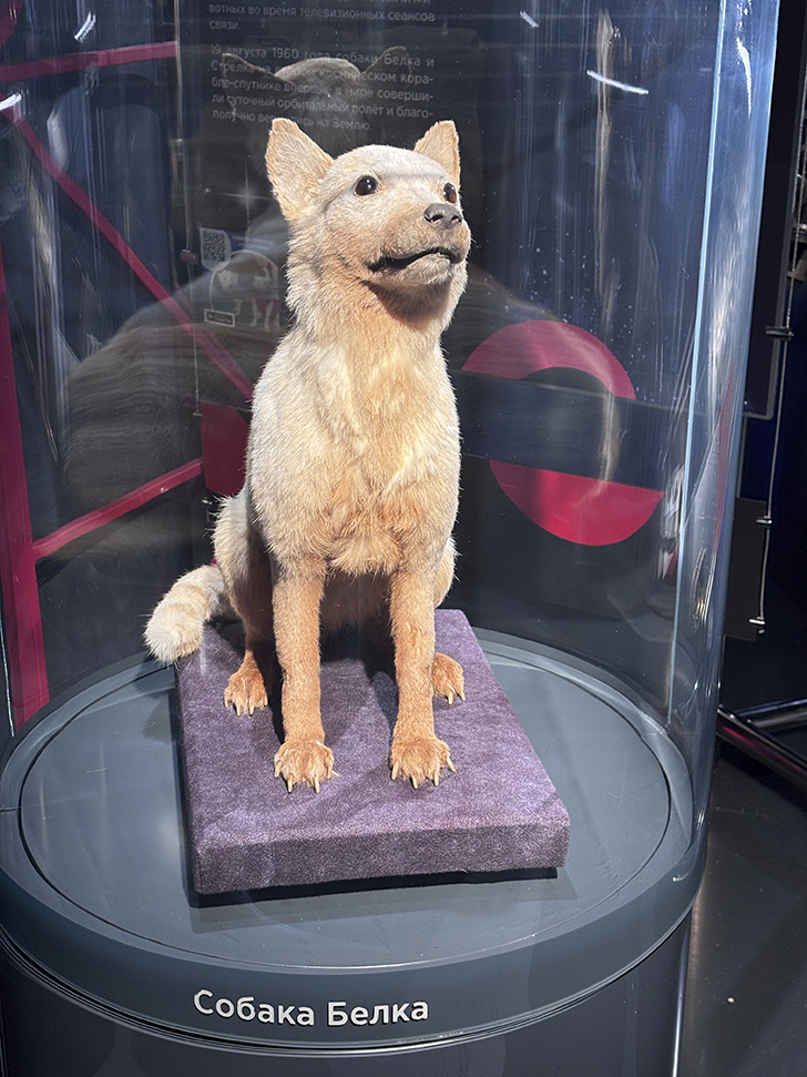 Музей космонавтики (фото Олег Д., февраль, 2026)