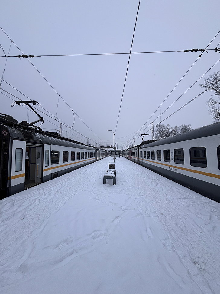 Внезапная поездка в Яхрому (фото Олег Д., февраль, 2026)