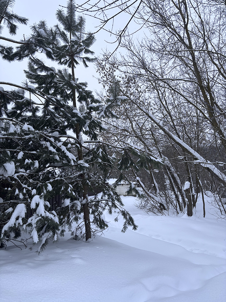 Внезапная поездка в Яхрому (фото Олег Д., февраль, 2026)