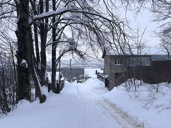 Внезапная поездка в Яхрому (фото Олег Д., февраль, 2026)