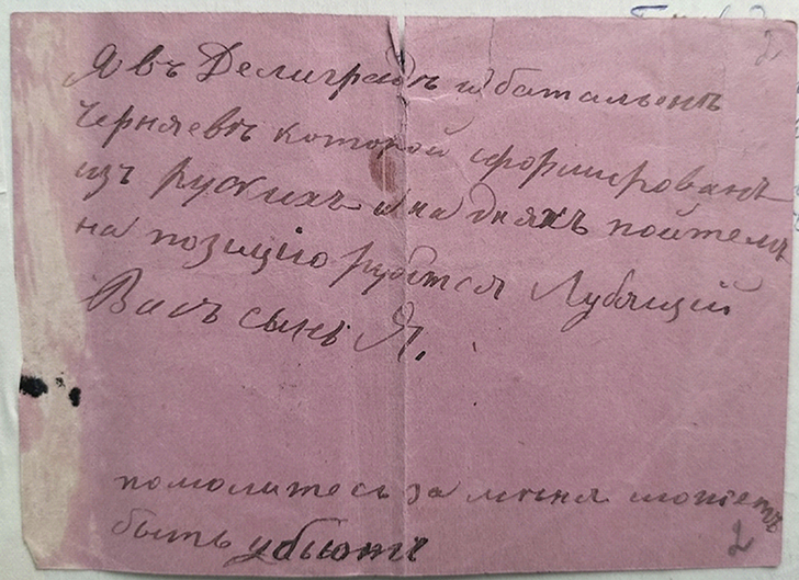 Письмо, написанное Николаем отцу 3 октября 1876 года, стало единственным. И — прощальным