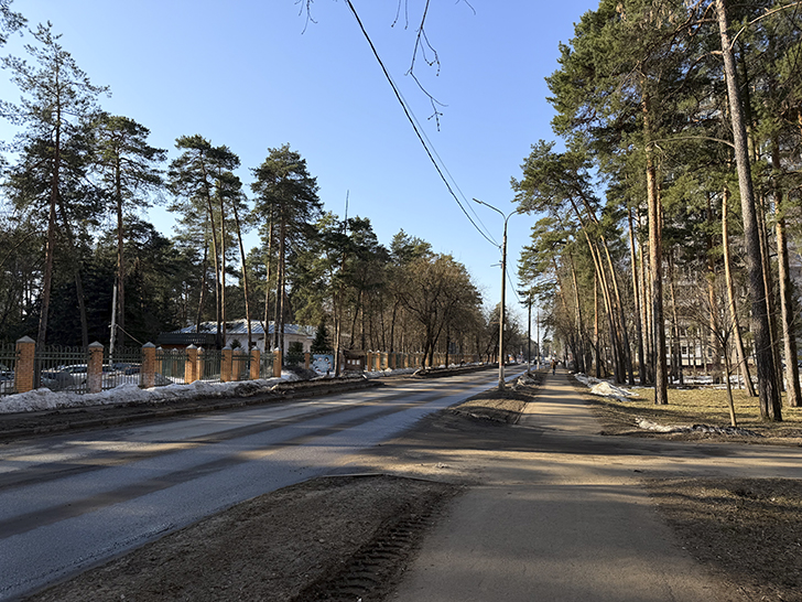 Как Жуковский не разочаровал, а порадовал (фото Олег Д., март, 2026)