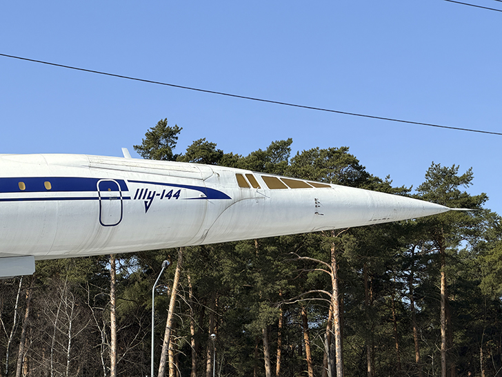 Как Жуковский не разочаровал, а порадовал (фото Олег Д., март, 2026)