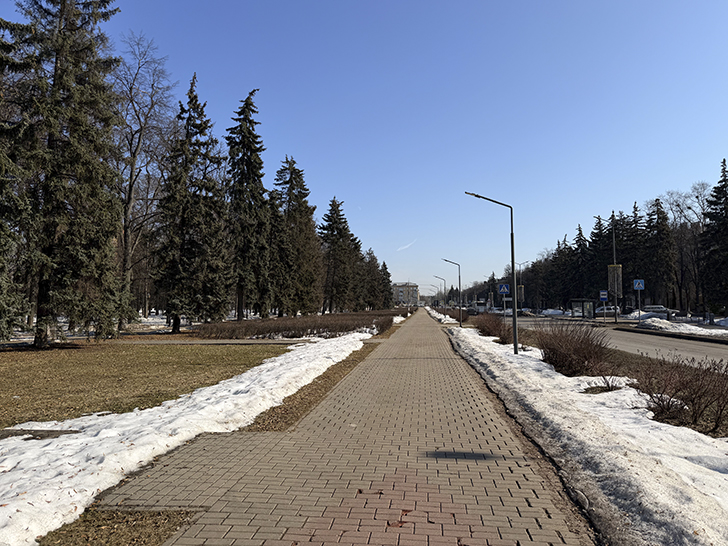 Как Жуковский не разочаровал, а порадовал (фото Олег Д., март, 2026)