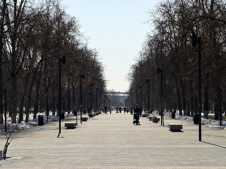 Как Жуковский не разочаровал, а порадовал (фото Олег Д., март, 2026)