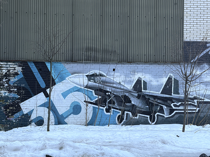 Как Жуковский не разочаровал, а порадовал (фото Олег Д., март, 2026)