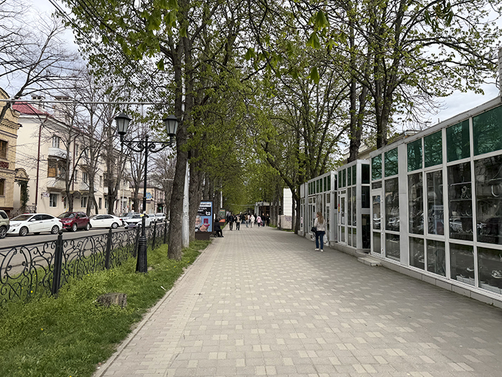 Путешествие в Пятигорск: впечатления и открытия (фото Олег Д., весна, 2026)
