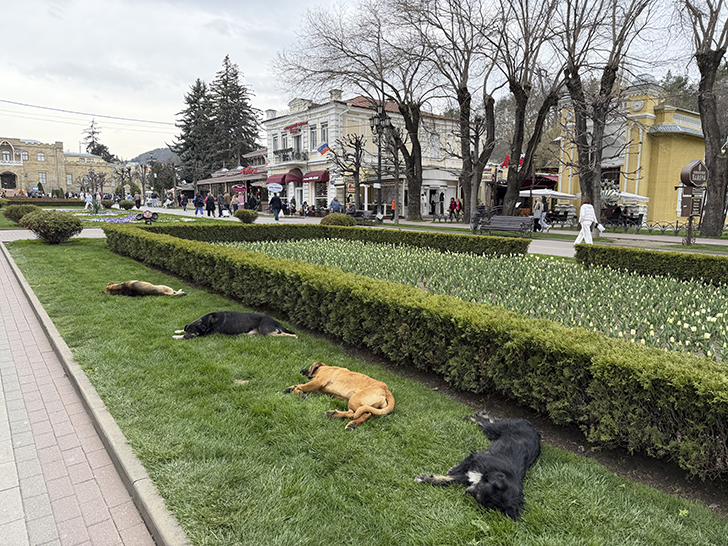 Заключительный день в Кисловодске - прогулка по парку и вылет домой (фото Олег Д., весна, 2026)
