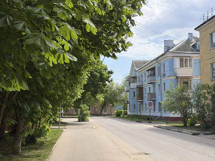 Фрязино (фото Олег Д., лето, 2026)