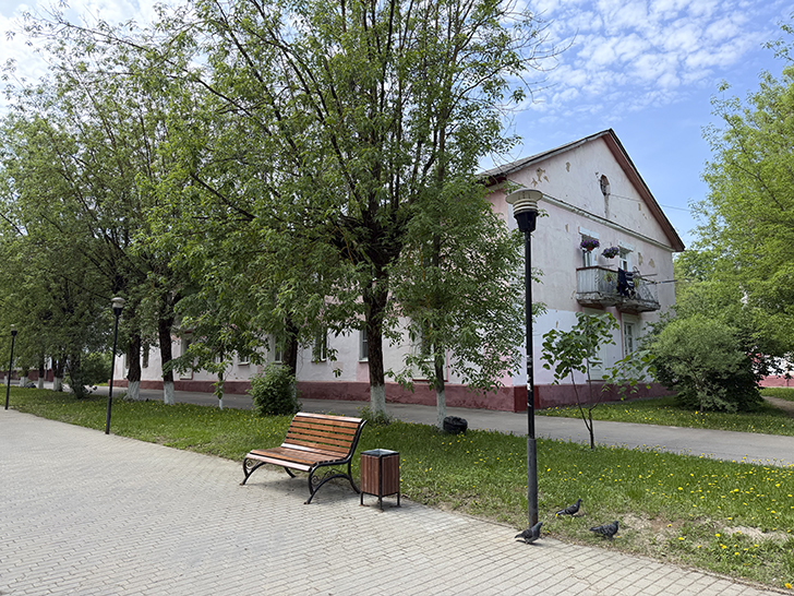 Фрязино (фото Олег Д., лето, 2026)