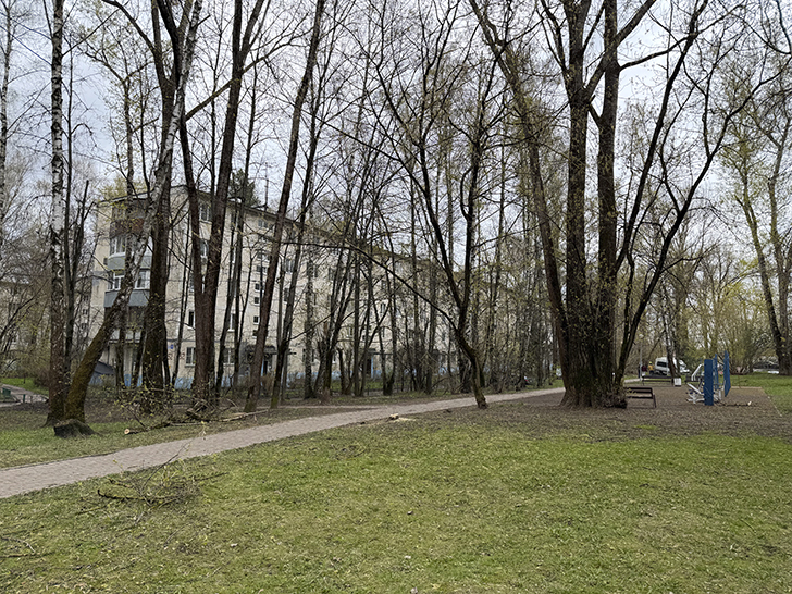 Красногорск (фото Олег Д., весна, 2026)
