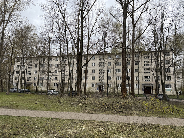 Красногорск (фото Олег Д., весна, 2026)