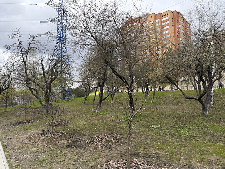 Красногорск (фото Олег Д., весна, 2026)