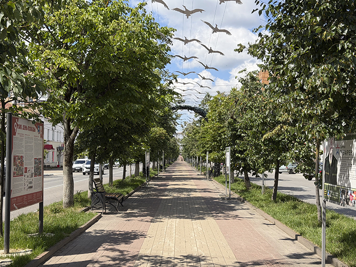 Калуга (фото Олег Д., лето, 2026)