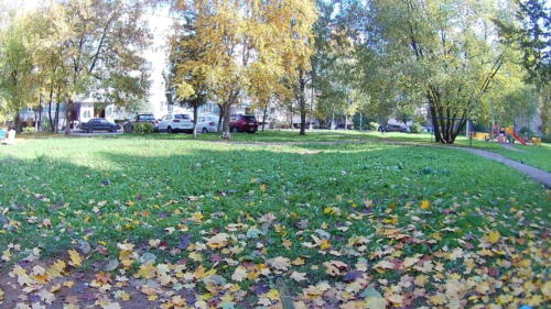 Осенняя игра красок (фото В.Кузьмин, октябрь, 2021)