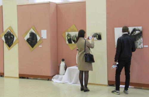 Творчество для любого зрителя в  выставочном зале имени Ю.В.Карапаева (фото В.Кузьмин, октябрь, 2021)