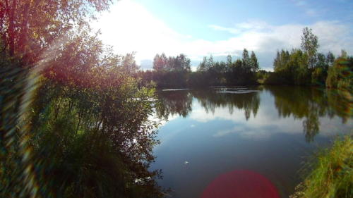 Золотая красота осени (фото В.Кузьмин, сентябрь, 2021)