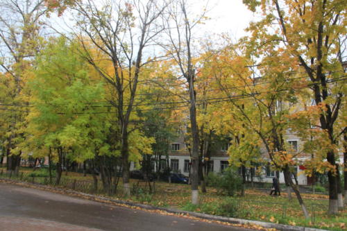 Осенняя игра красок (фото В.Кузьмин, октябрь, 2021)