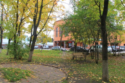 Золотая красота осени (фото В.Кузьмин, сентябрь, 2021)