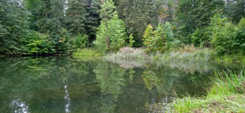 Частичка природы, фото В.Кузьмин, сентябрь, 2021