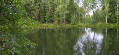 Частичка природы, фото В.Кузьмин, сентябрь, 2021