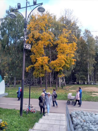 г.Клин, «Сестрорецкий» парк (фото из архива сайта infoce-klin.ru, октябрь, 2021)
