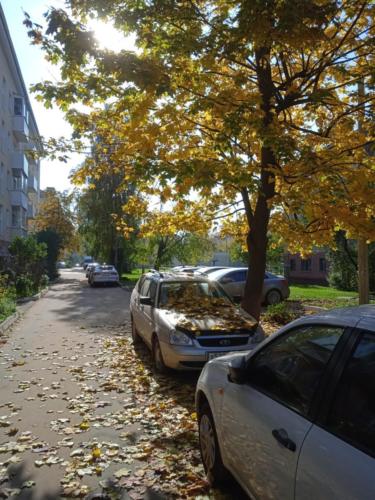 Осенняя игра красок (фото В.Кузьмин, октябрь, 2021)