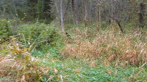 Частичка природы, фото В.Кузьмин, сентябрь, 2021