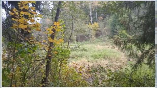 Частичка природы, фото В.Кузьмин, сентябрь, 2021