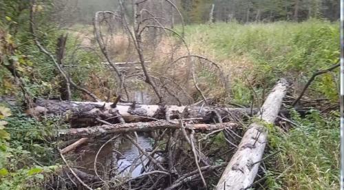 Частичка природы, фото В.Кузьмин, сентябрь, 2021